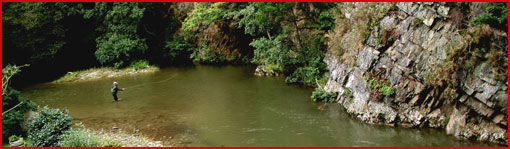 Basque country fishing guide
